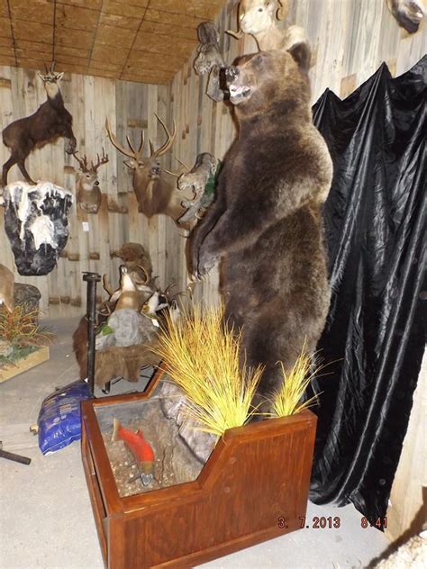 Taxidermy near me - Top 10 Best Taxidermy Near Santa Rosa, California. Sort: Recommended. All. Price. Open Now Dogs Allowed. International Big Game Studio Of Taxidermy. 5.0 (2 reviews) Taxidermy. 240 Watertrough Rd “Any time I get a nice trophy animal I take them to Forrest. They have been doing quality mounts for me for the last 20 years.